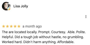 Screenshot excerpt of Lisa Jolly's five-star Google review praising local service, hard work, careful handling, and affordability